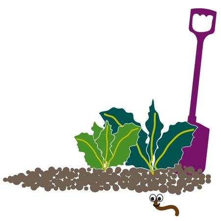 Millbrook Growers Gravesend - Soil: Dish the Dirt.