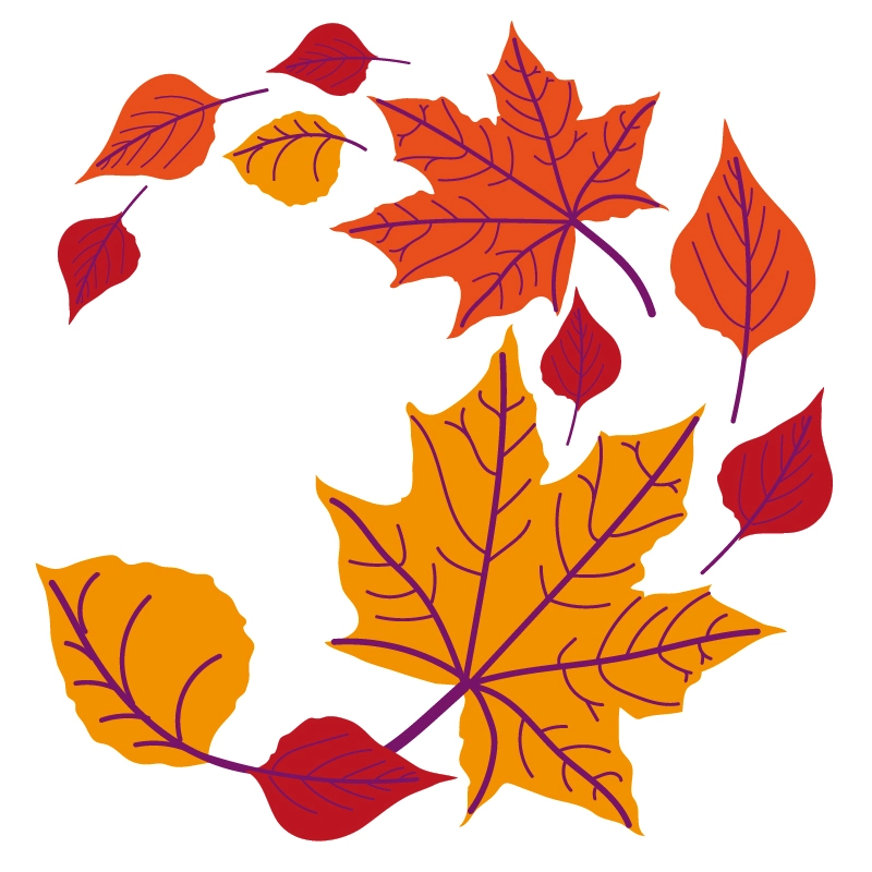 Autumn Planting Guide