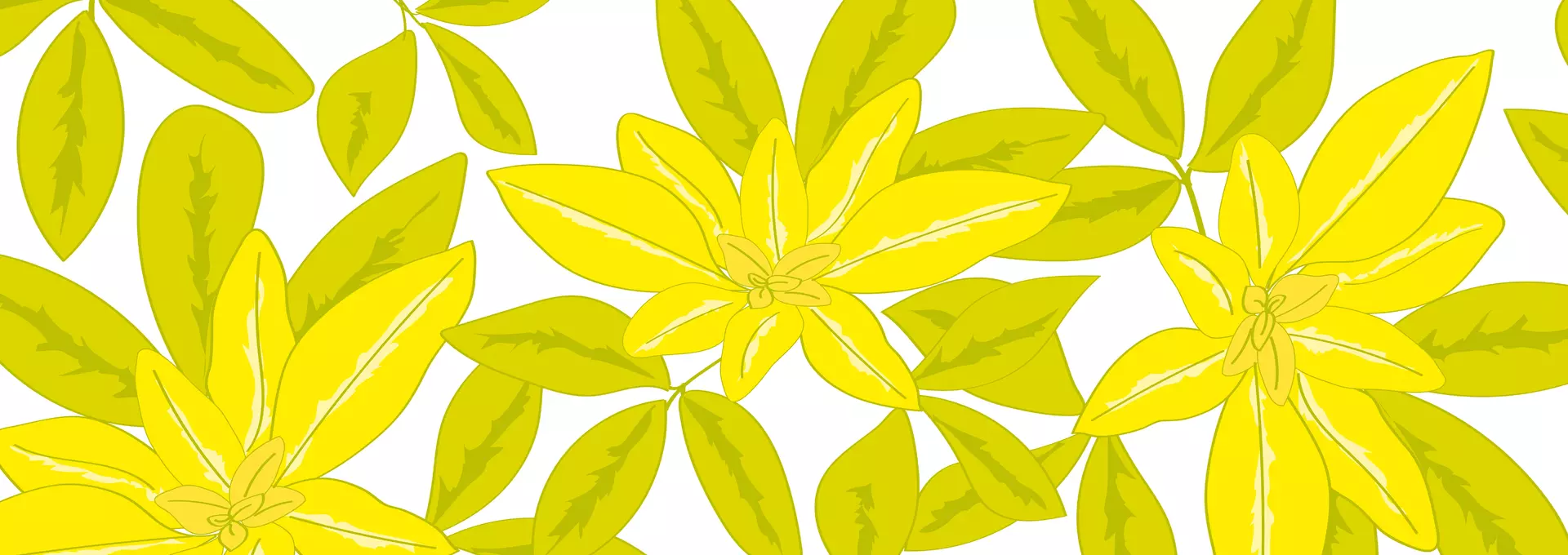 Charity of the Year: Greenfingers