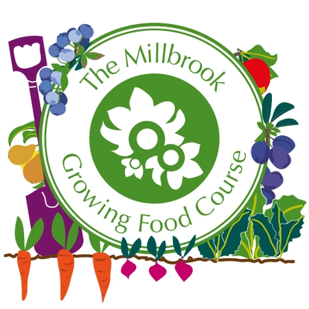 Growing Food Course at Gravesend