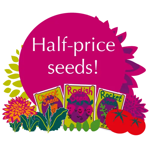 Half-price seeds!