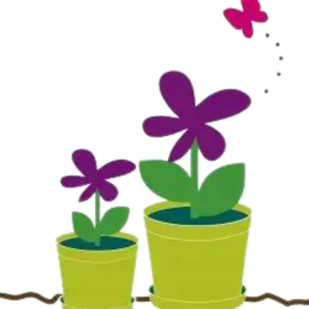 Make your own compost