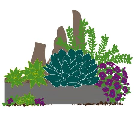 Millbrook Growers Gravesend - Alpines