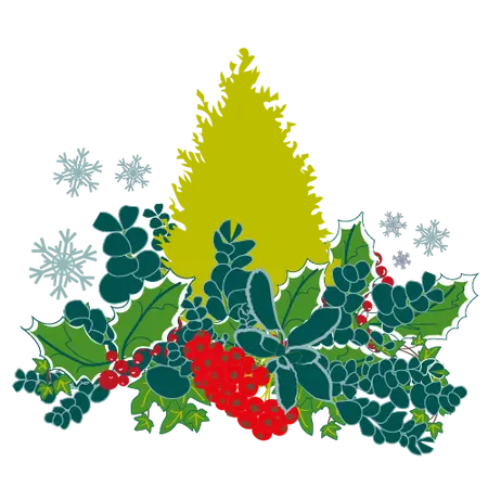 Millbrook Growers Gravesend - Frost, Foliage & Fragrance: Plants that Shine in Winter