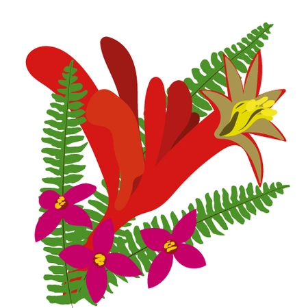 Millbrook Growers Gravesend - Hardy Antipodeans