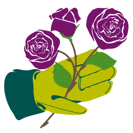 Millbrook Growers Gravesend - Rose Growing Made Easy