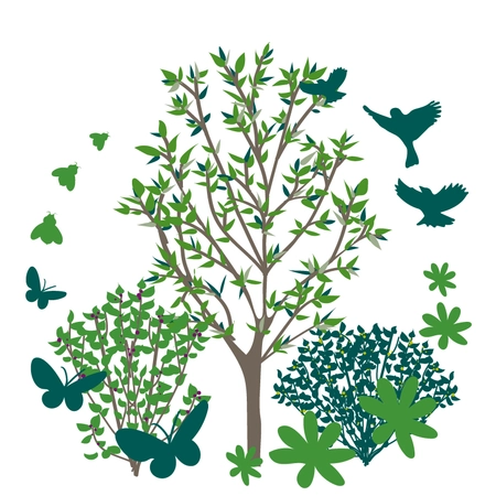 Millbrook Growers Gravesend - Wilding Gardens