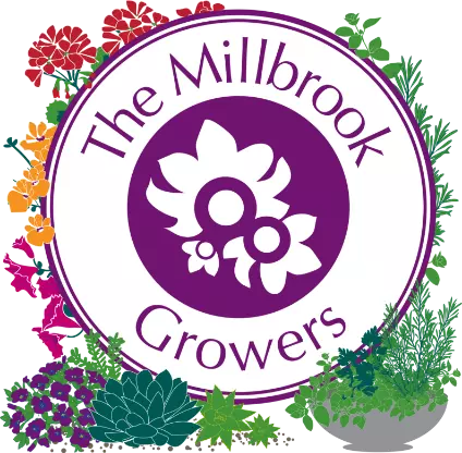 Millbrook Growers Talks