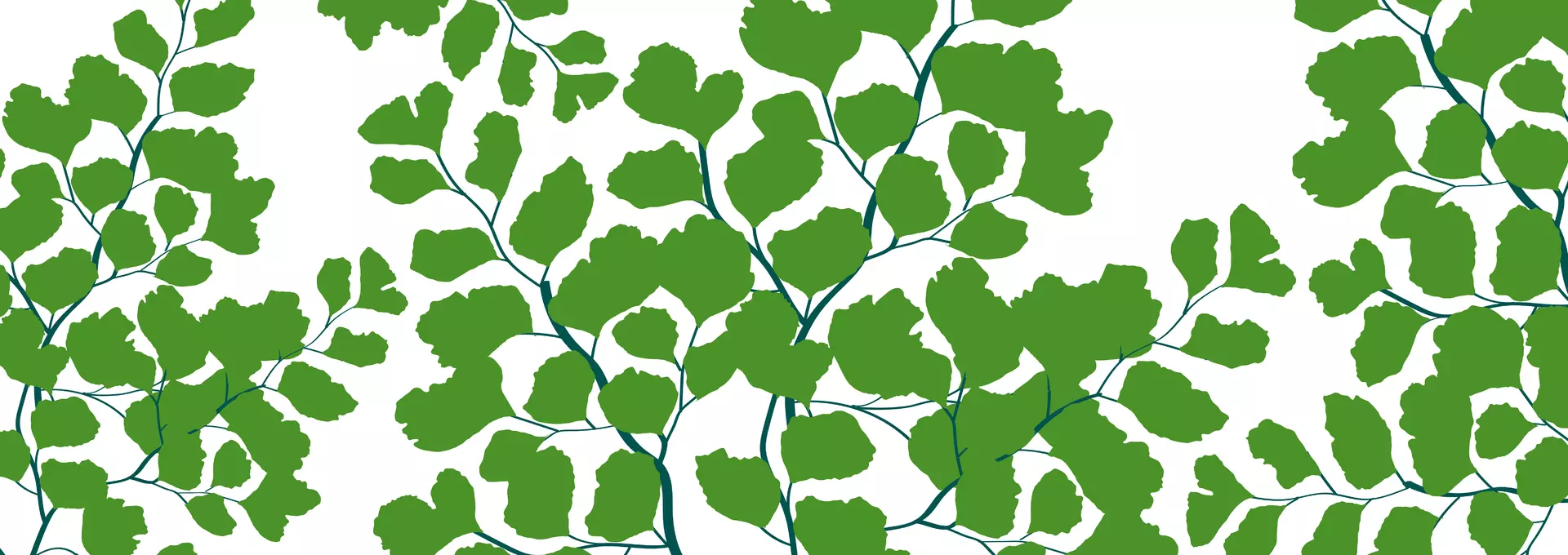 Millbrook Peat Policy