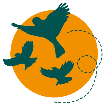Owl Encounters at GRAVESEND October Half Term