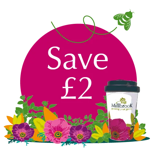 Planet Positive Offer of the Month! Planet Positive Offer of the Month!