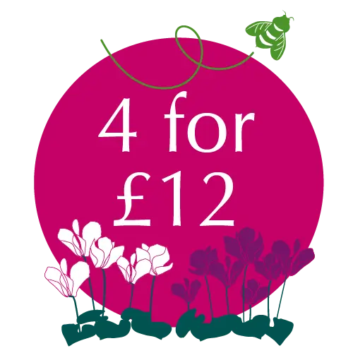 Planet Positive Offer of the Month! Planet Positive Offer of the Month!
