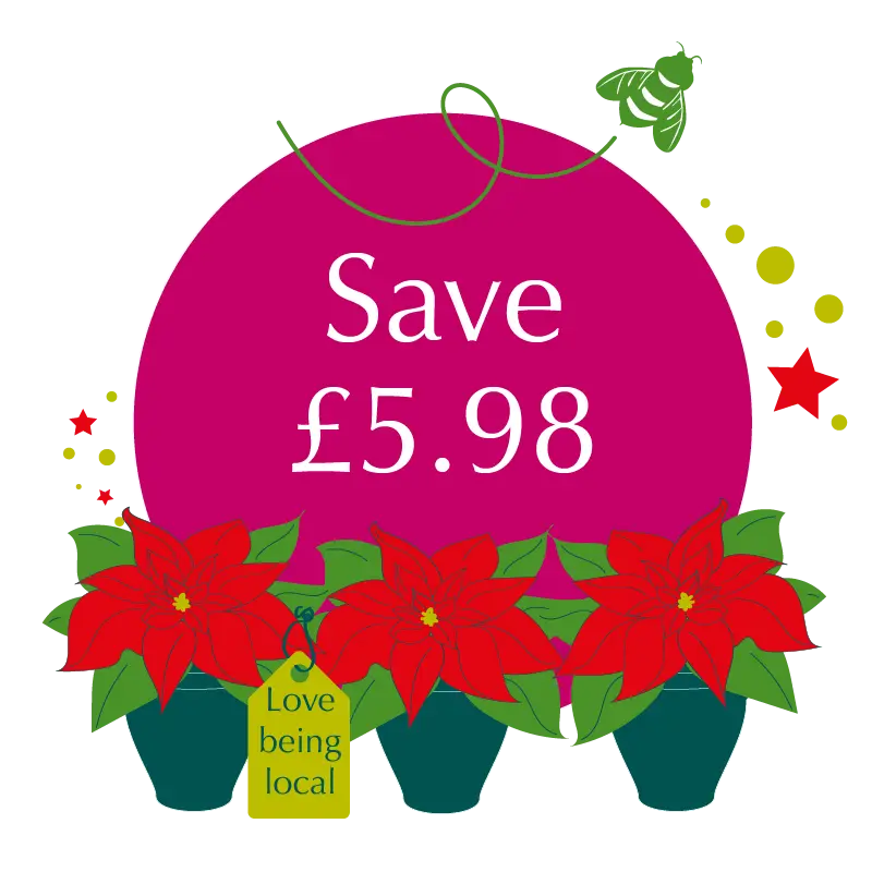 Planet Positive Offer of the Month!