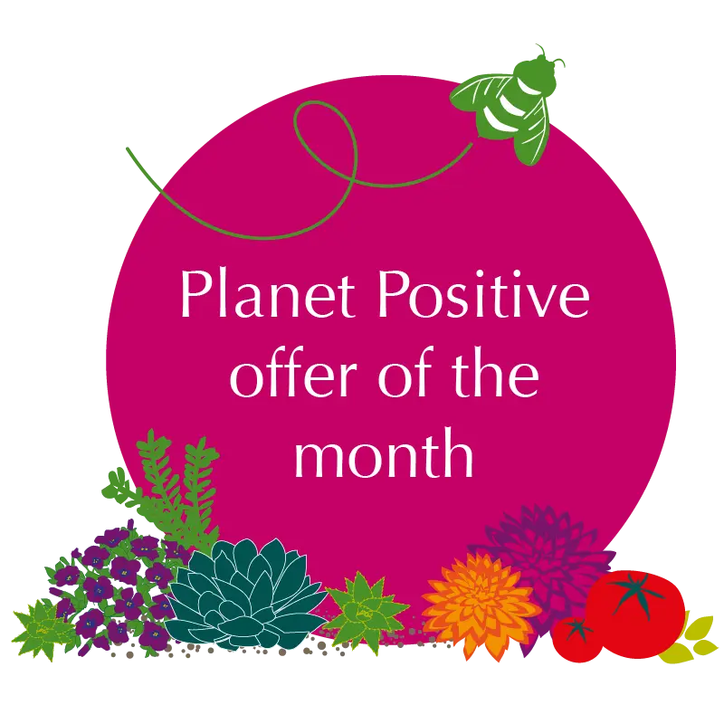 Planet Positive Offer of the Month! Planet Positive Offer of the Month!