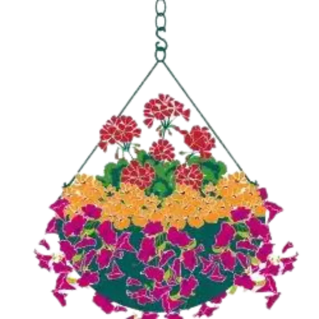 Plant a hanging basket