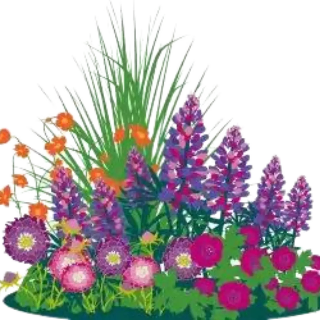 Plant a sunny border