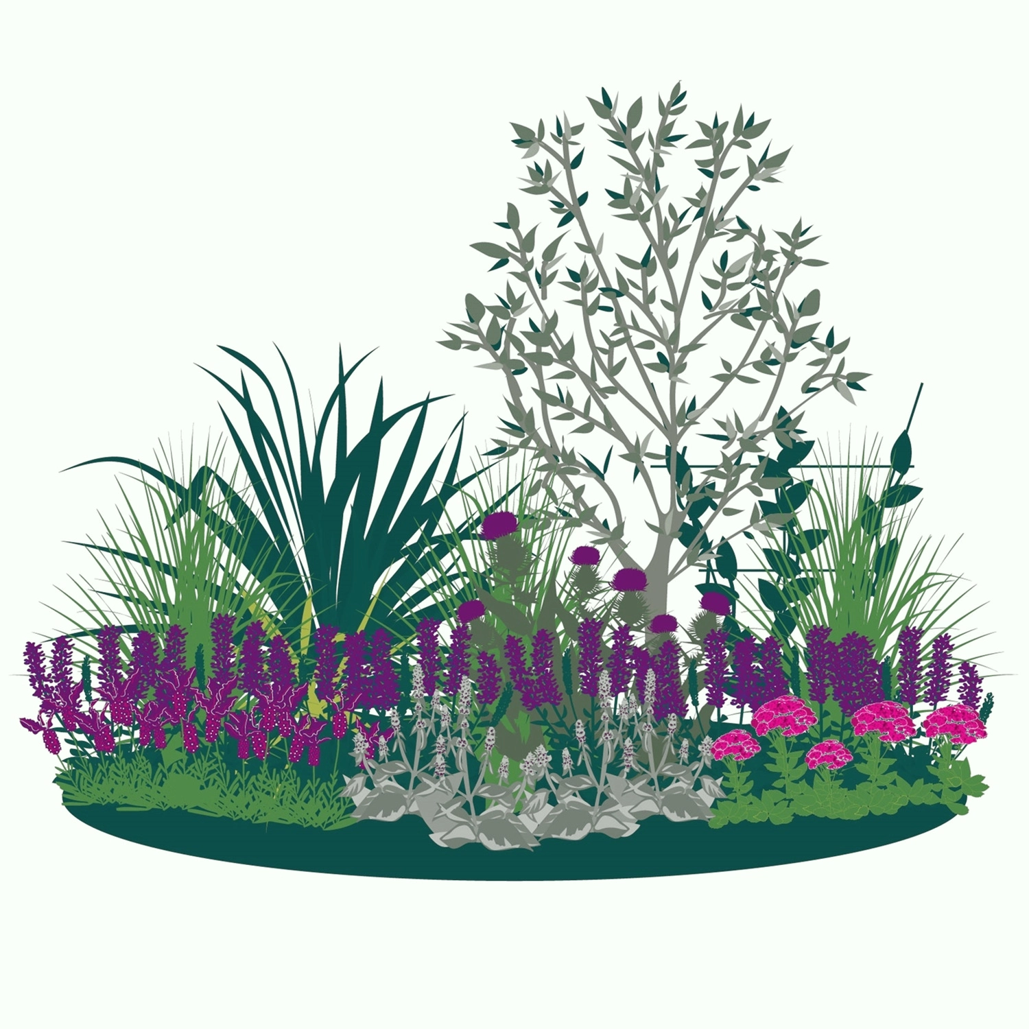 Plant a water-wise border