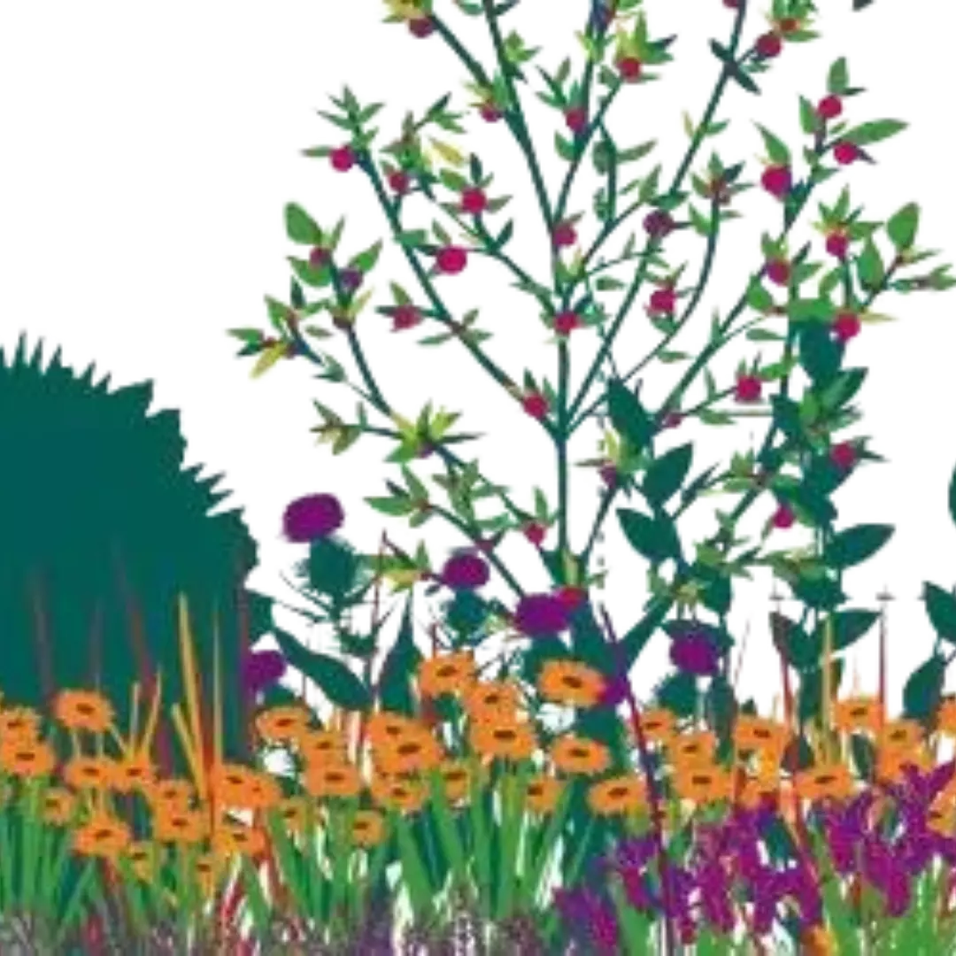 Plant a wildlife-attracting border