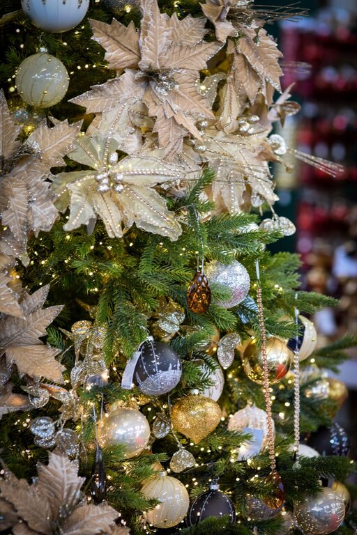 A Magical Millbrook Christmas 2023 Themes Millbrook Garden Centre