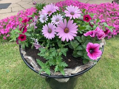 How to make a Planet Positive hanging basket