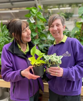 Green the Gaps! UK Houseplant Week