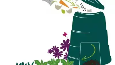 How to compost at home! By Tammy Woodhouse