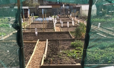 How to Start an Organic Garden from Scratch: Soil Health