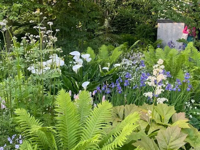 RHS Chelsea Flower Show 2023: My top 5 highlights