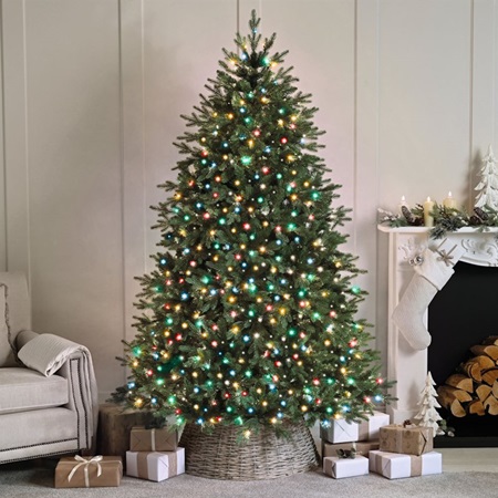 500 Compact Lights Multicolour