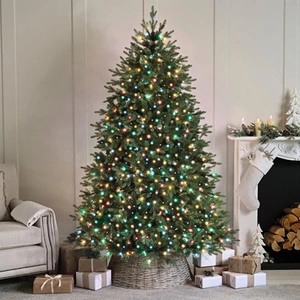 500 Compact Lights Multicolour