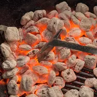 Barbecue Fuel & Smoking