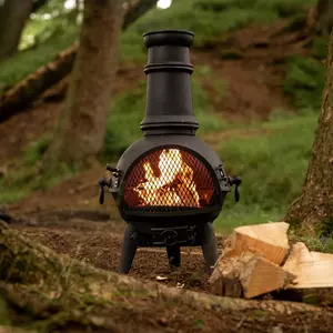 Camborne Chimenea - image 1
