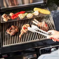 Electric Barbecues