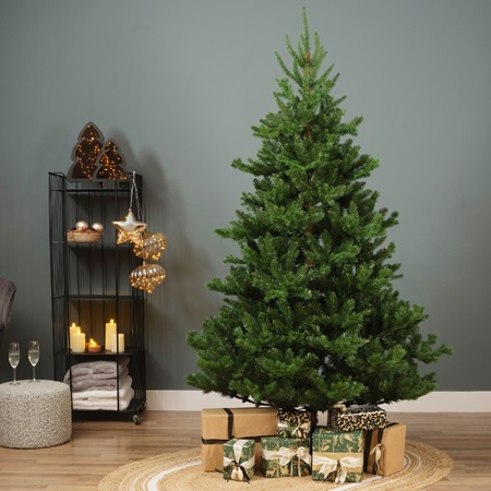 Kaemingk Everlands Alba Christmas Tree 6ft / 1.8m - image 5
