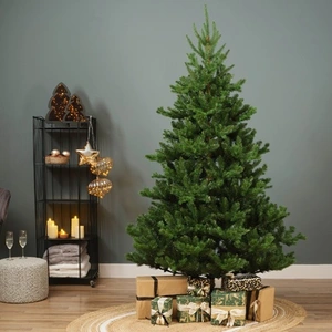 Kaemingk Everlands Alba Christmas Tree 7ft / 2.1m - image 5