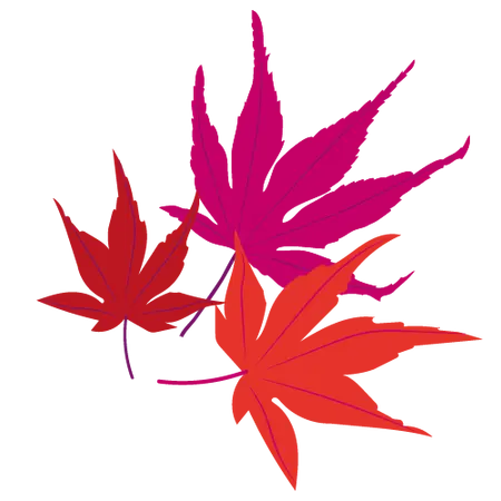 Millbrook Growers Gravesend - Acers and their Companions - Sep 2025