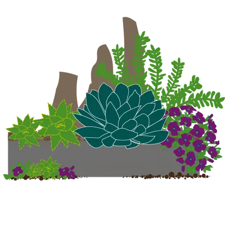 Millbrook Growers Gravesend - Alpines - Oct 2025