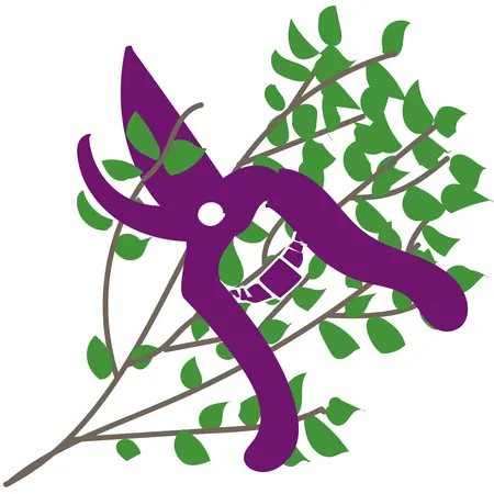 Millbrook Growers Gravesend - Pruning - The Rights and Wrongs Apr2024