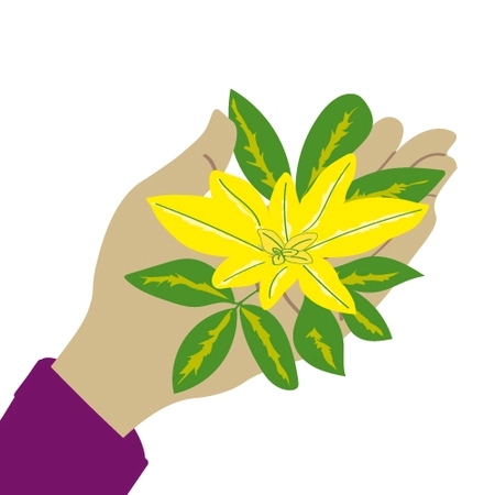 Millbrook Growers Gravesend - Tactile Plants to Touch & Feel  - Mar 2026