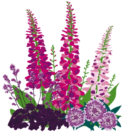 Millbrook Growers Gravesend - Highlight on Herbaceous Plants Jun2024
