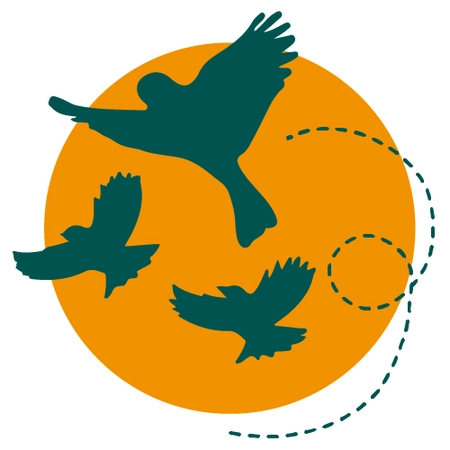 Owl Encounter with Sky Birds of Prey at Gravesend Oct 2025