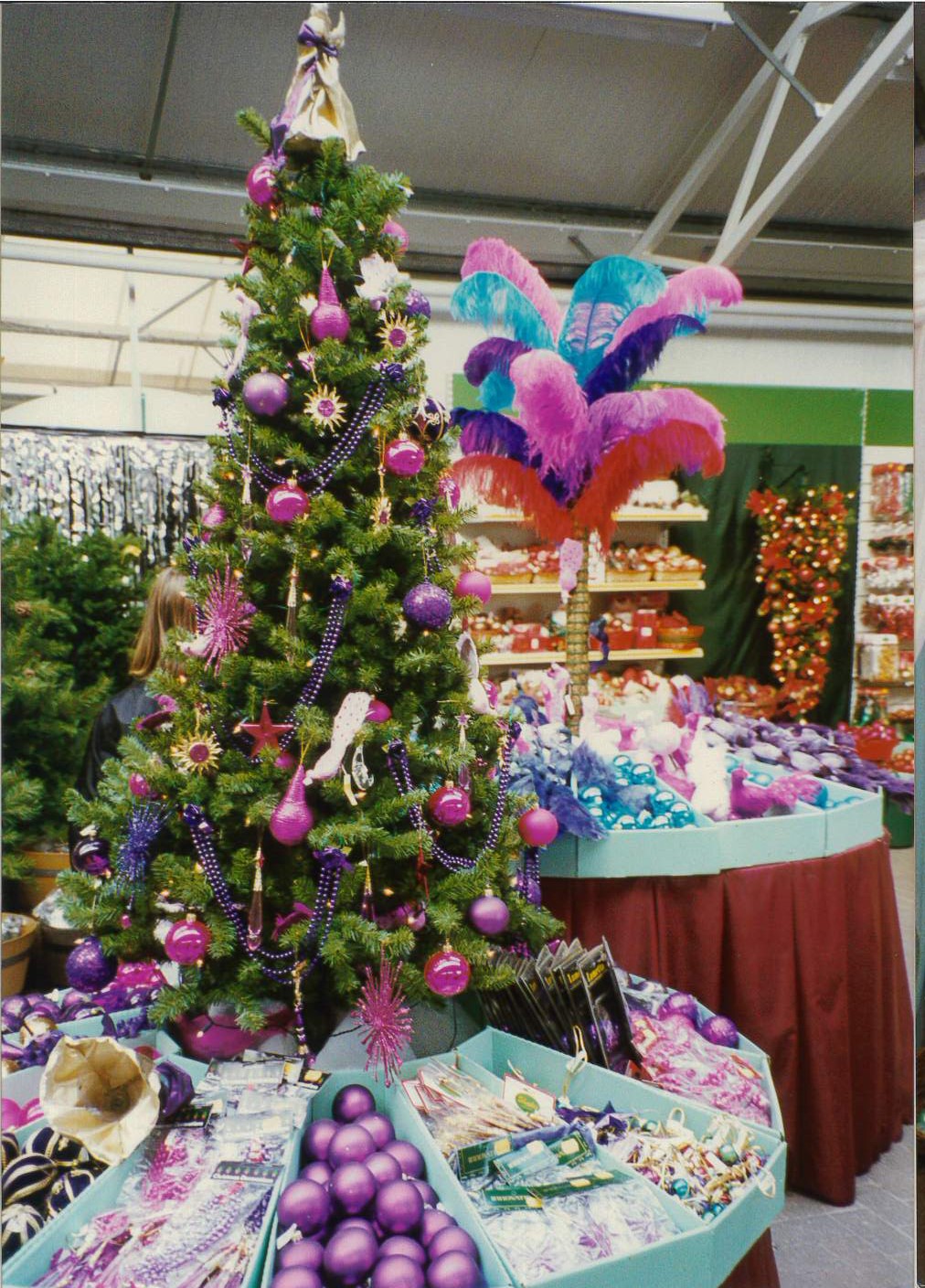 40 years of Millbrook by founder Sue Allen Millbrook Garden Centre