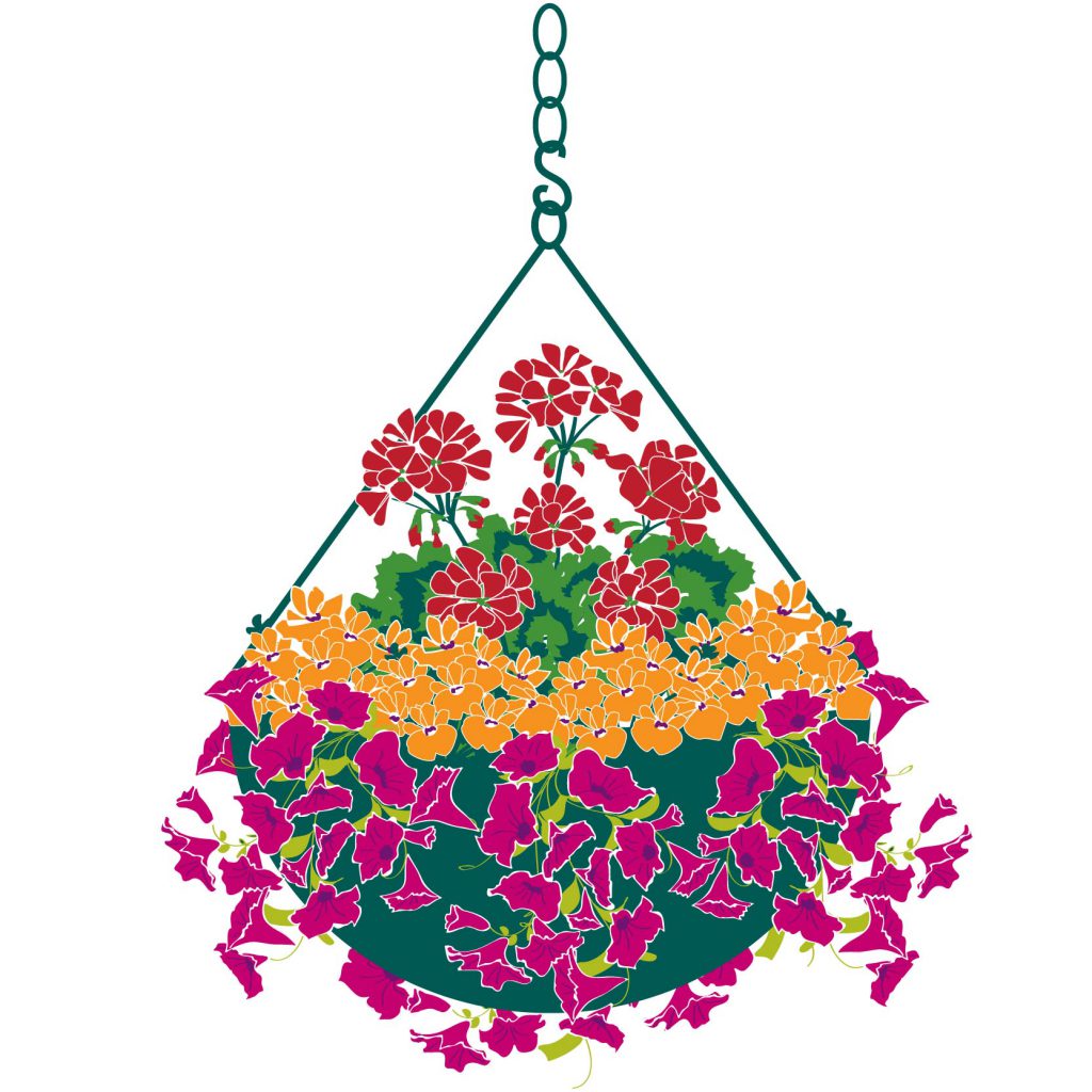 How to Plant a Hanging Basket Millbrook Garden Centre