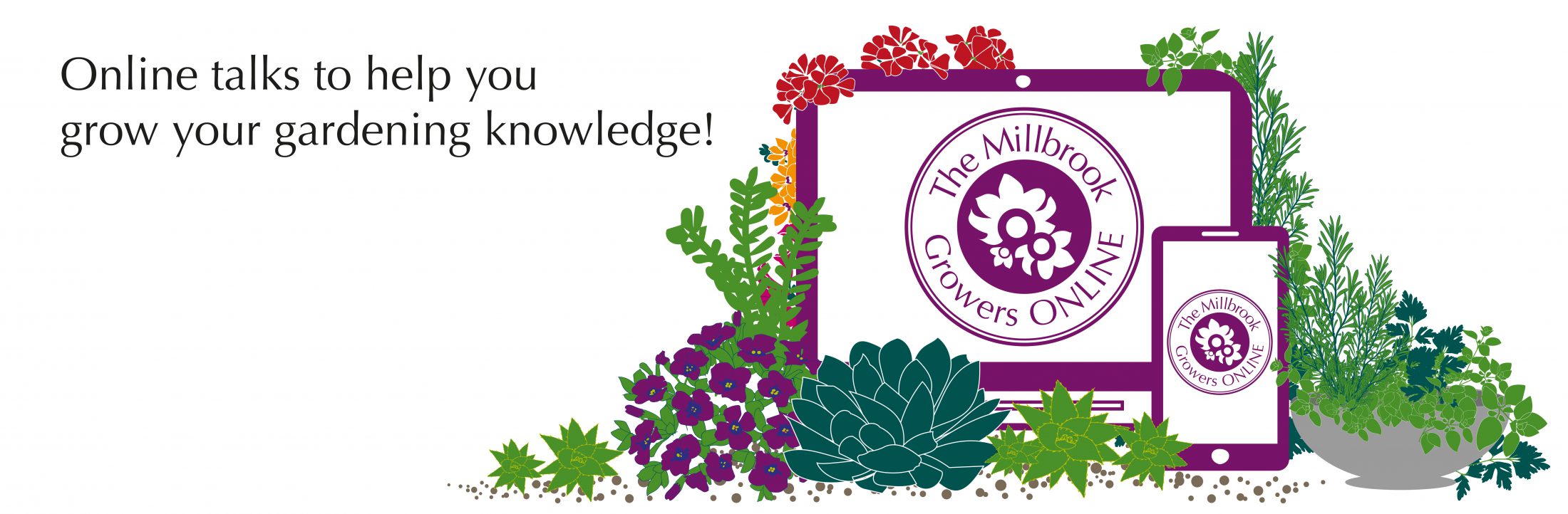 Millbrook Garden Centre Garden Centre Kent Garden Centre East