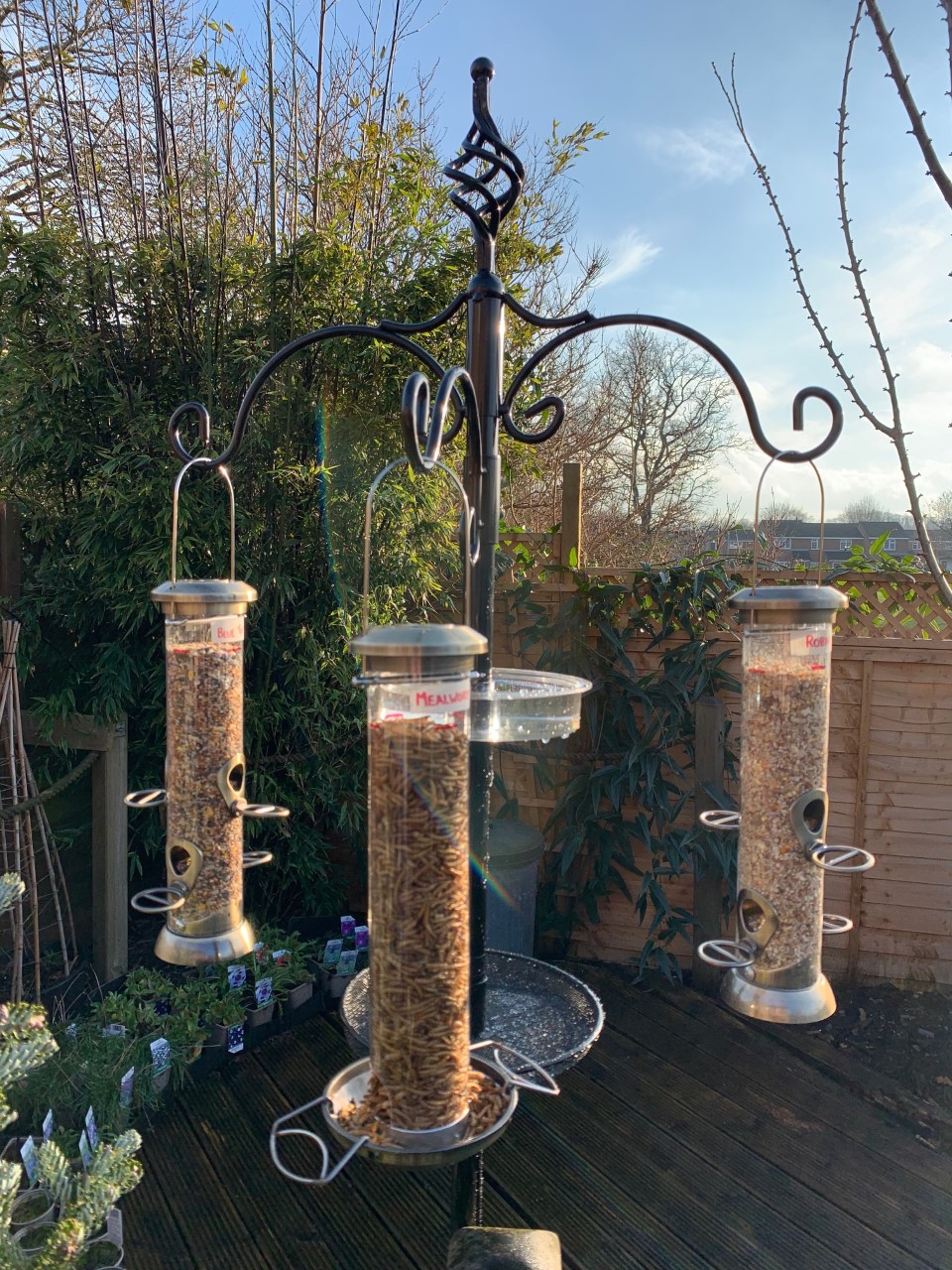 Deluxe Bird Feeding Station Tom Chambers Bird & Wildlife Care Feeders