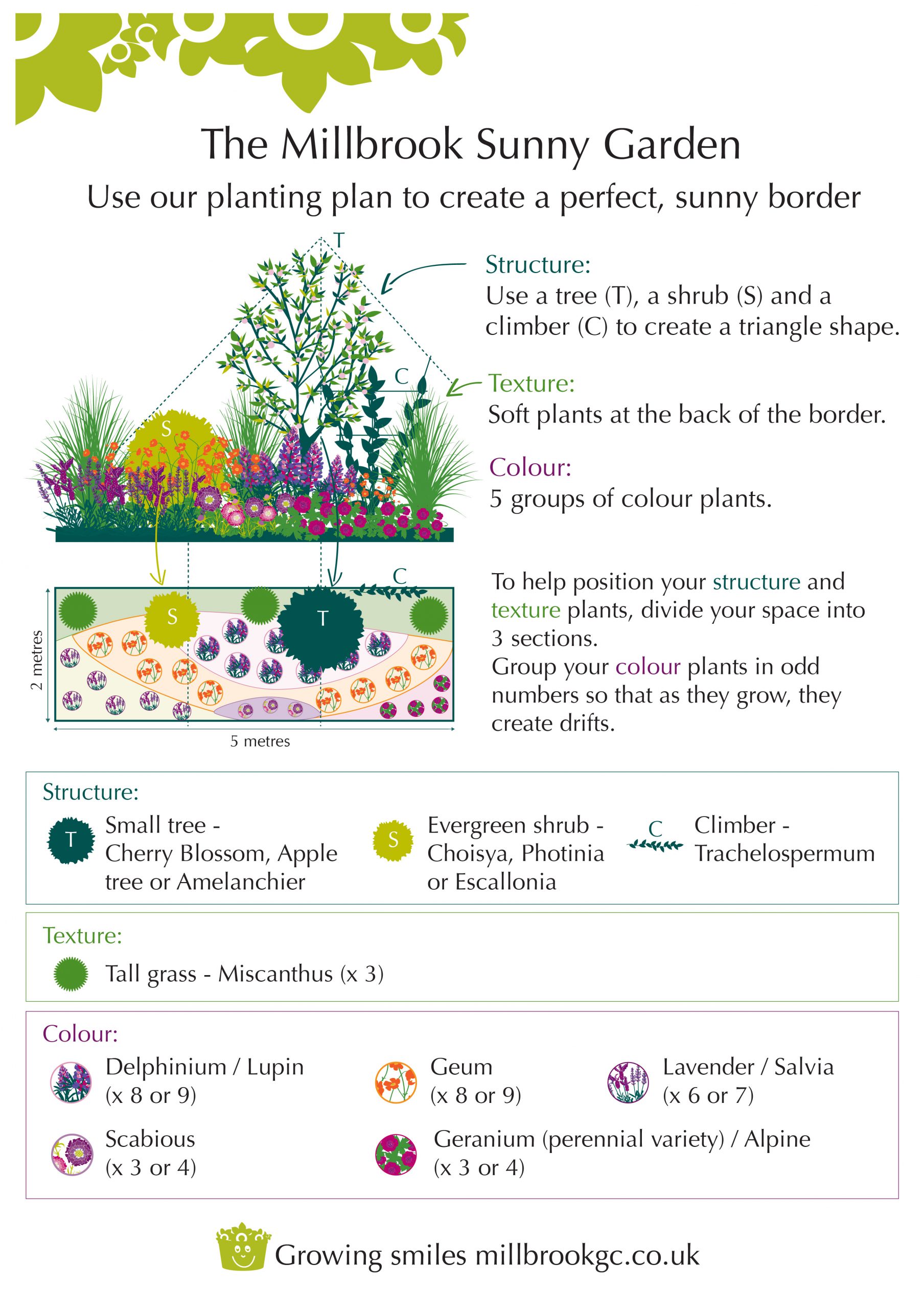 How to Plant a Sunny Border - Millbrook Garden Centre