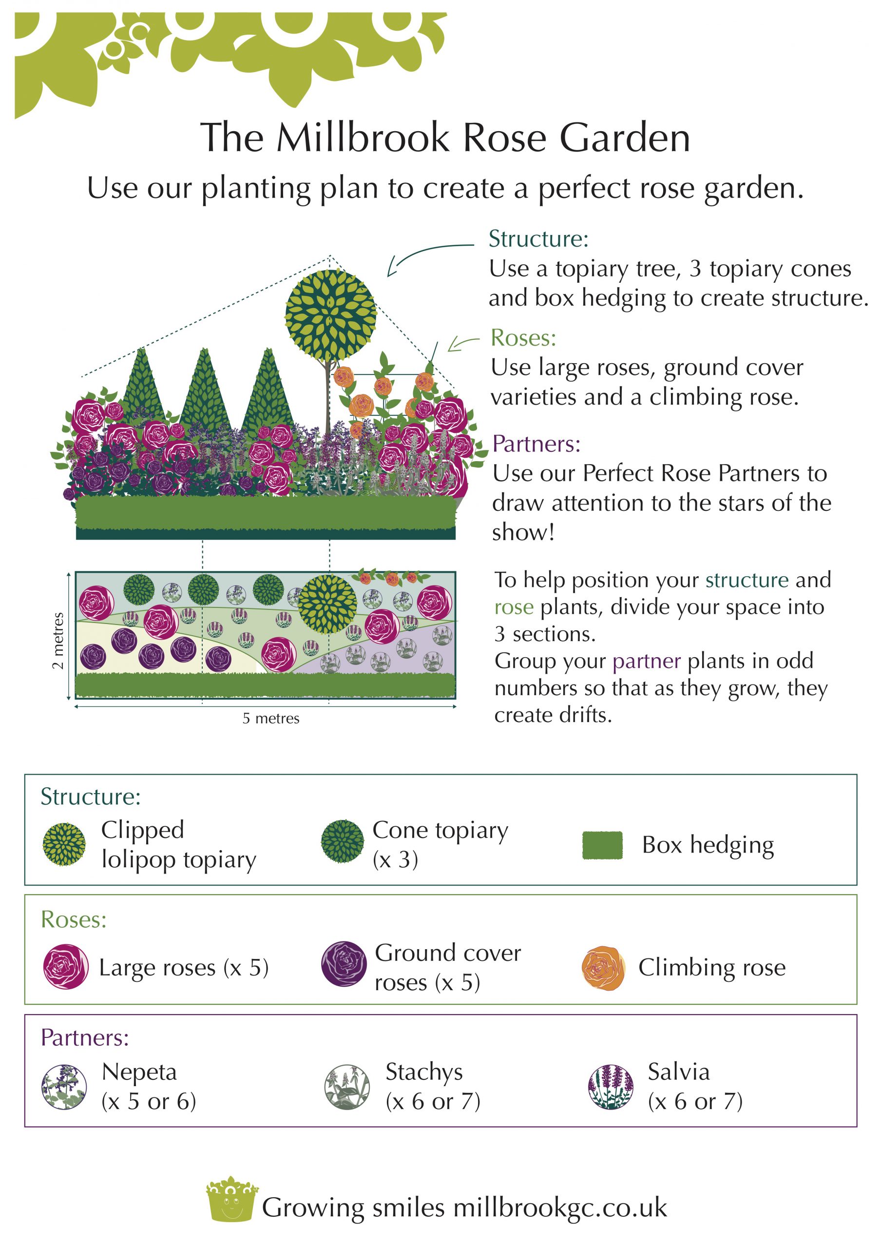 How to Plant a Rose Garden Millbrook Garden Centre