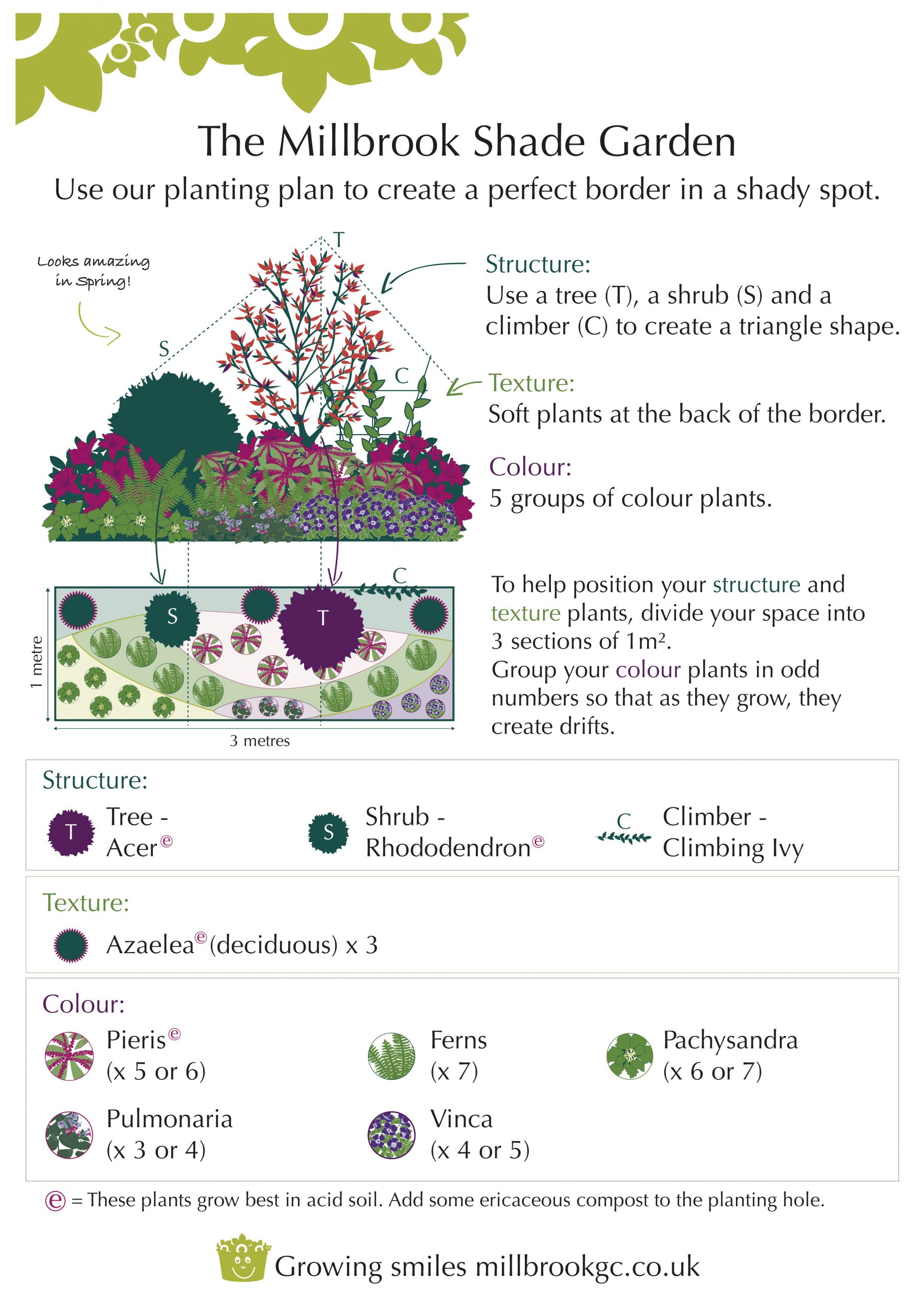 How to Plant a Border in the Shade Millbrook Garden Centre