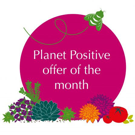 Planet Positive offer of the month